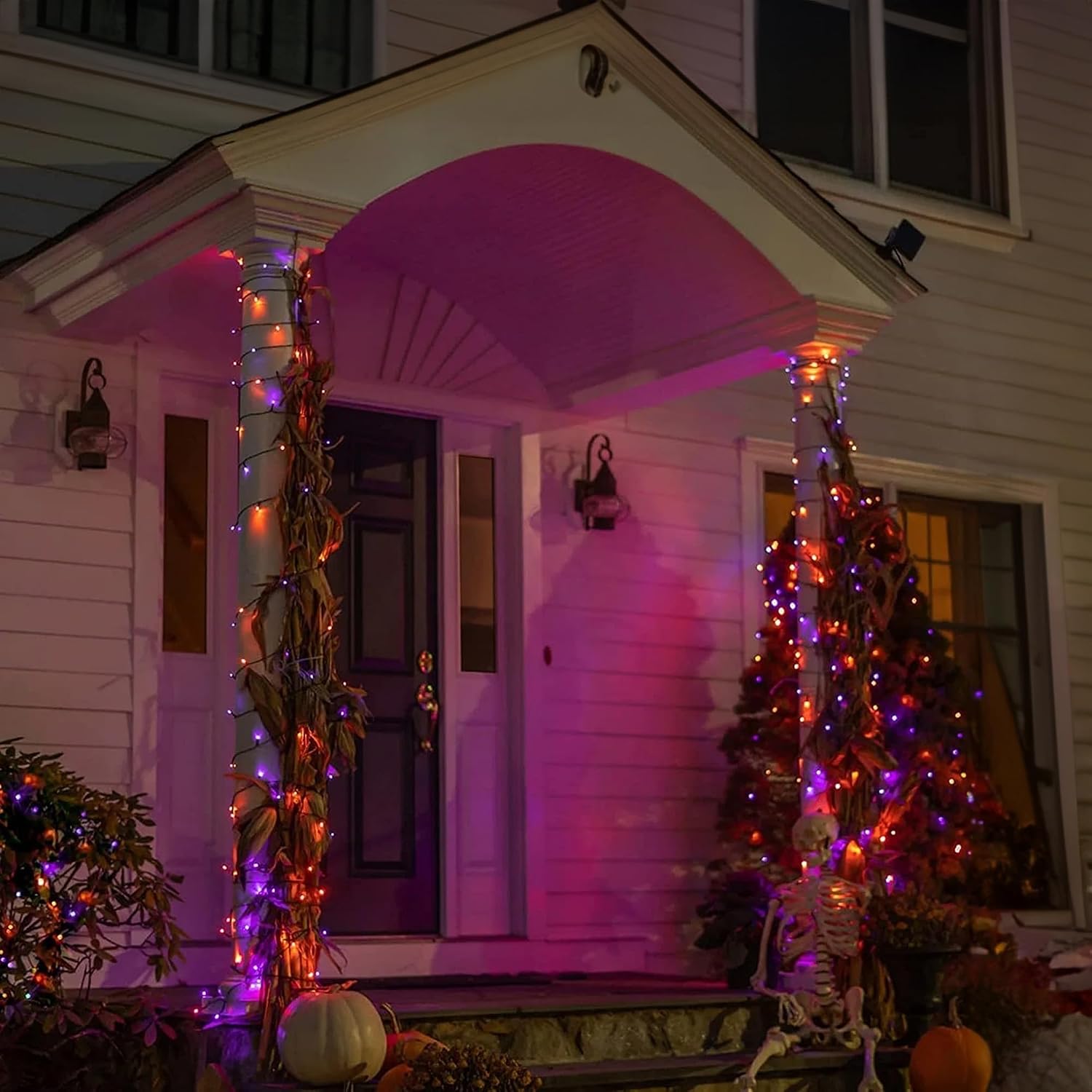 ダズルブライト 164フィート 500LED ハロウィンスト - Orange Lighting Decor のレビューと価格