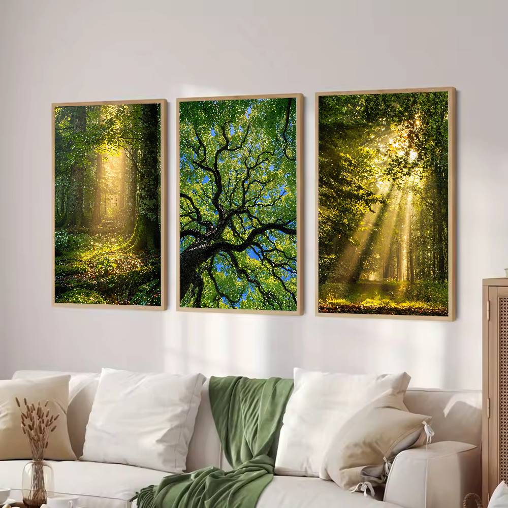 サンビームフォレスト自然ポスター、緑の森、木の葉を通して差す - Wall Decor Lighting Tree のレビューと価格