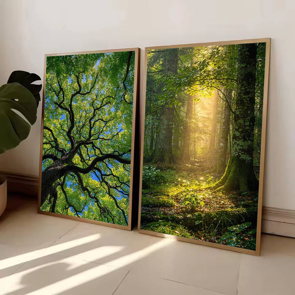サンビームフォレスト自然ポスター、緑の森、木の葉を通して差す - Wall Decor Lighting Tree のレビューと価格