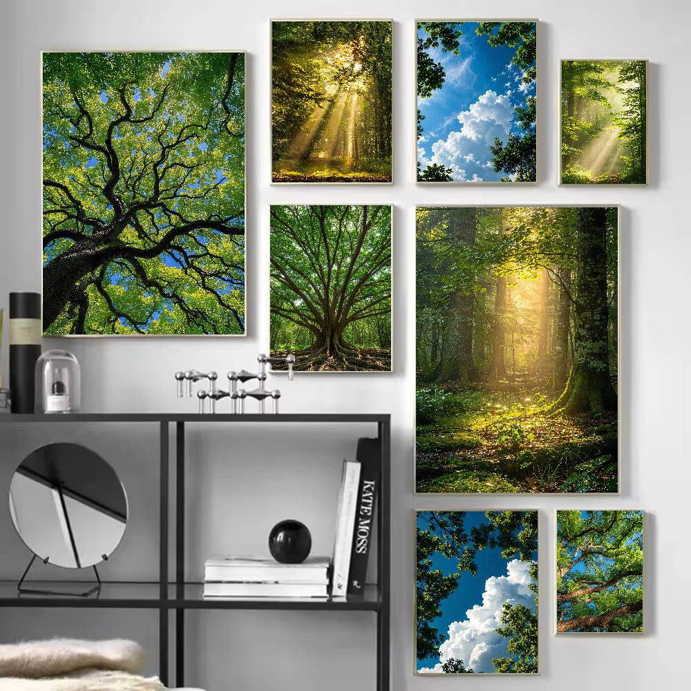 サンビームフォレスト自然ポスター、緑の森、木の葉を通して差す - Wall Decor Lighting Tree のレビューと価格